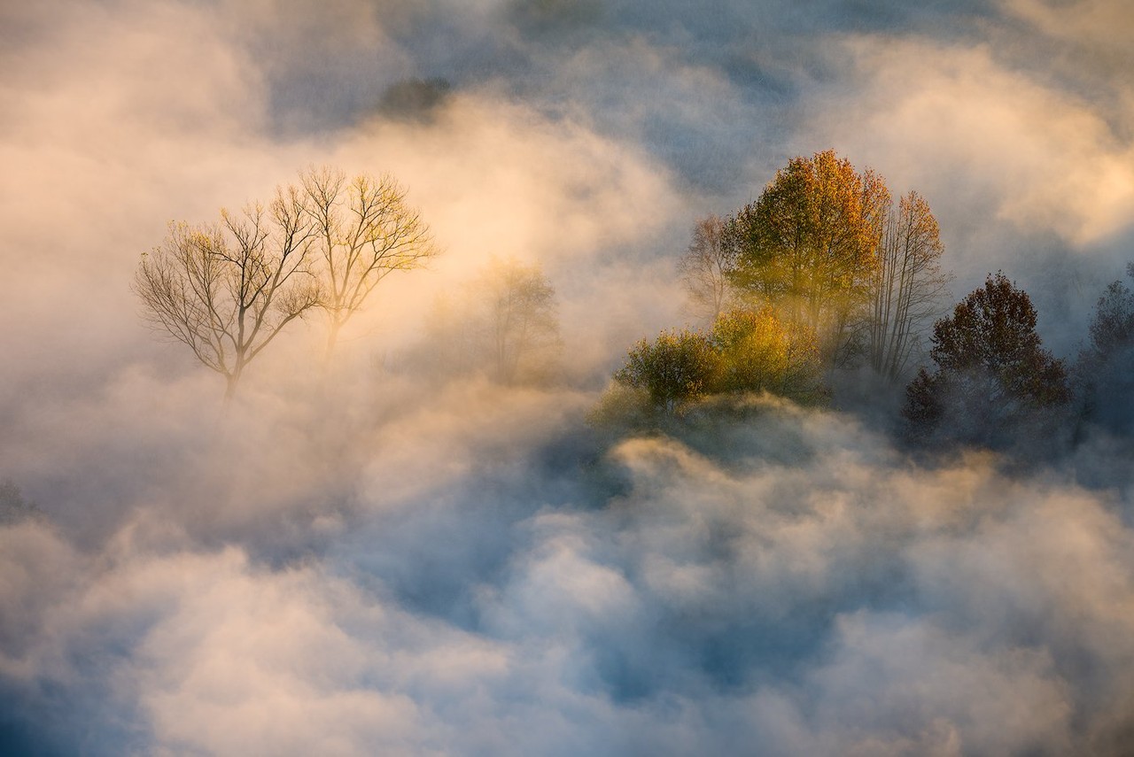 Golden trees emerge through low cloud above the Adda river in Airuno.