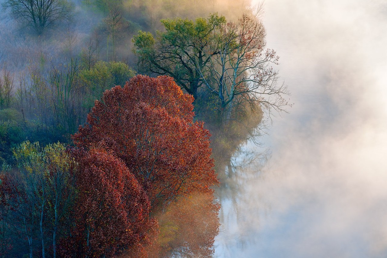 A red-leaved tree rises from the river mist in Airuno.