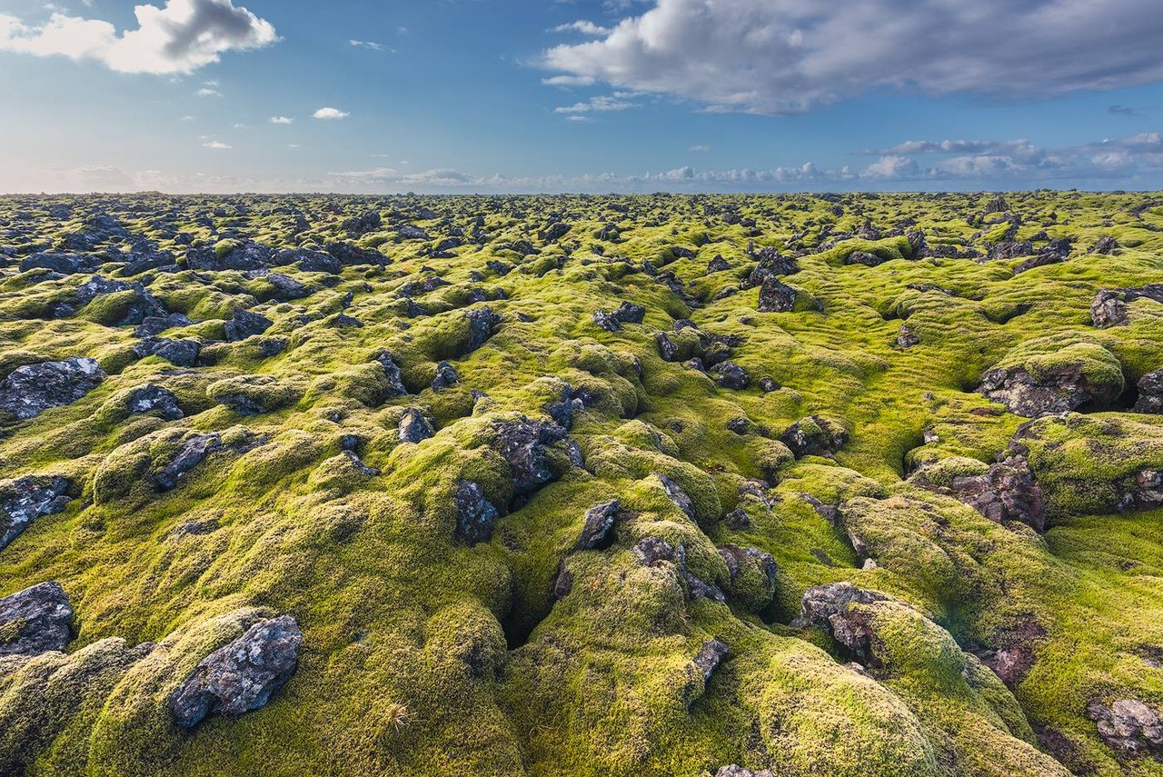 A broad carpet of green moss covers uneven volcanic ground beneath a cloudy sky.