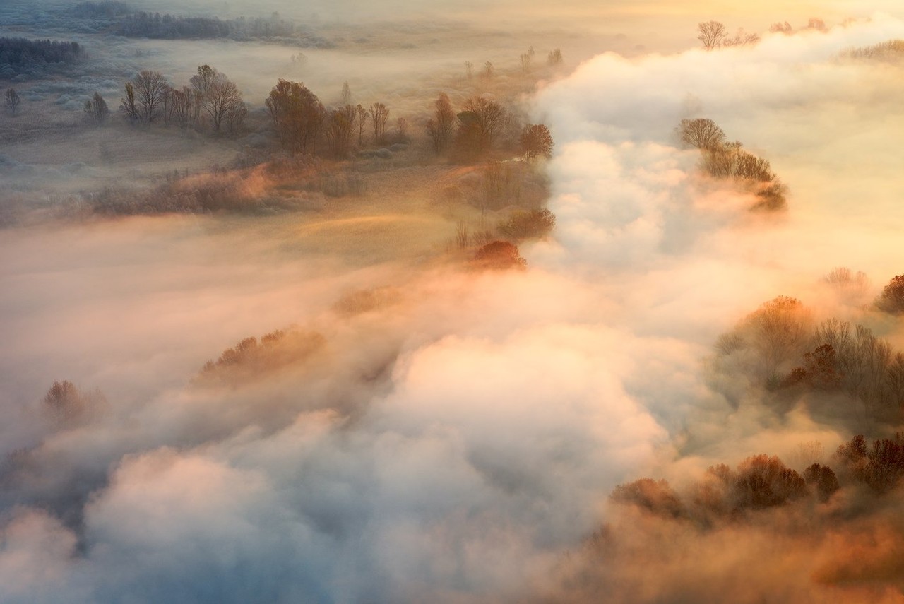 Islands of golden trees stand in pale mist over the Adda river.