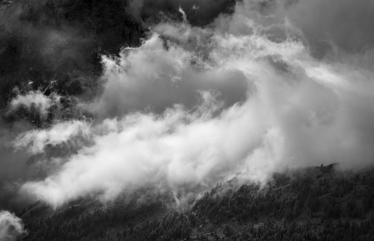A blurred black-and-white mountain landscape with bare trees sweeping through the frame.