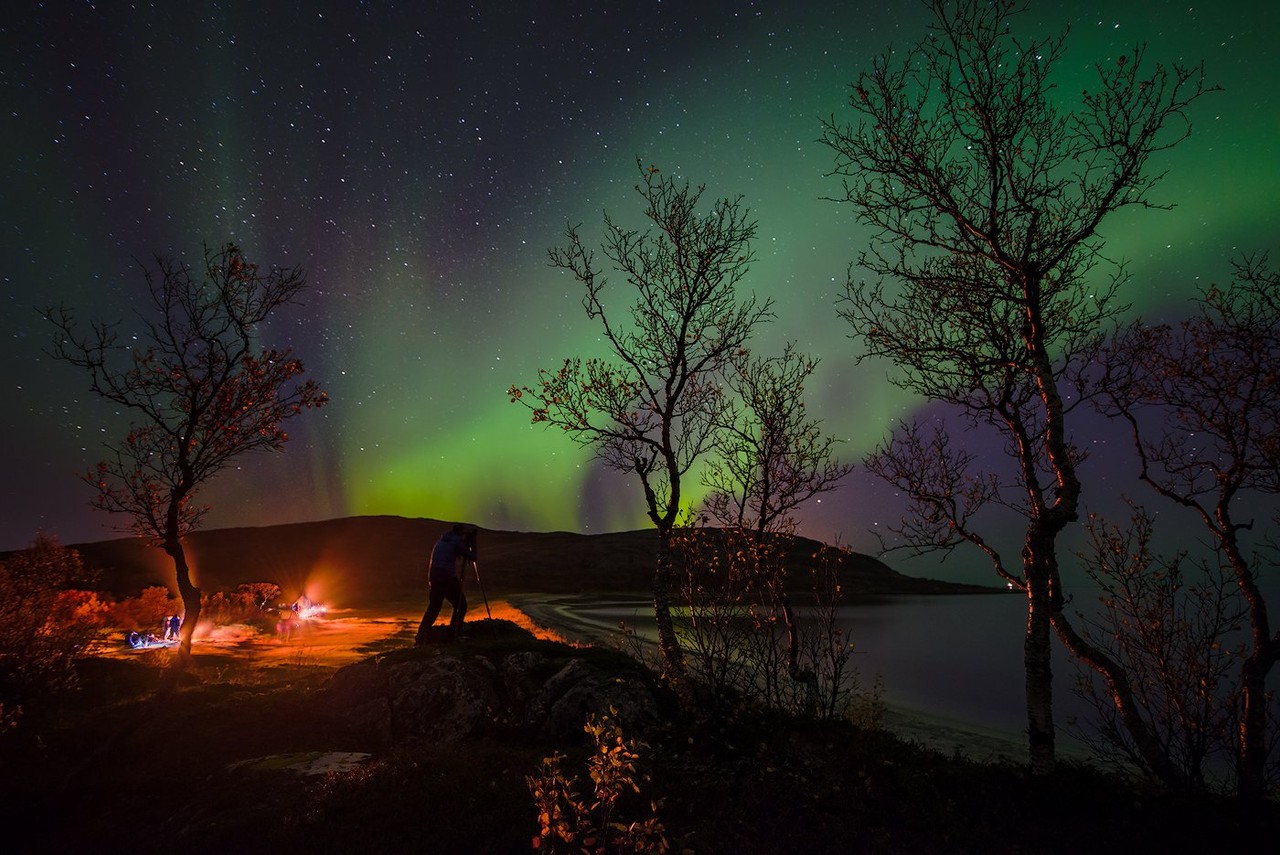 Figures gather around a small fire among bare trees beneath the northern lights.