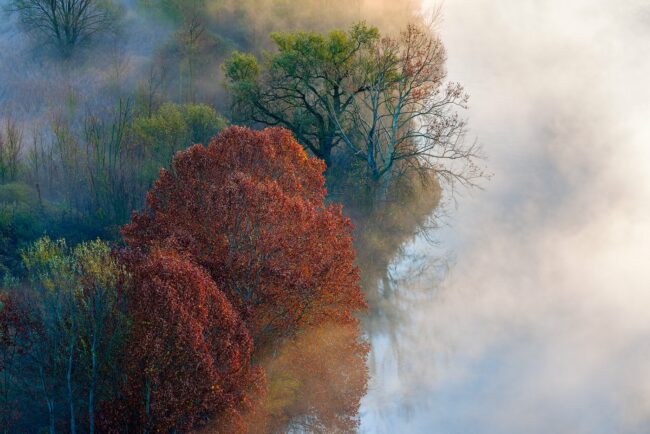 morning light