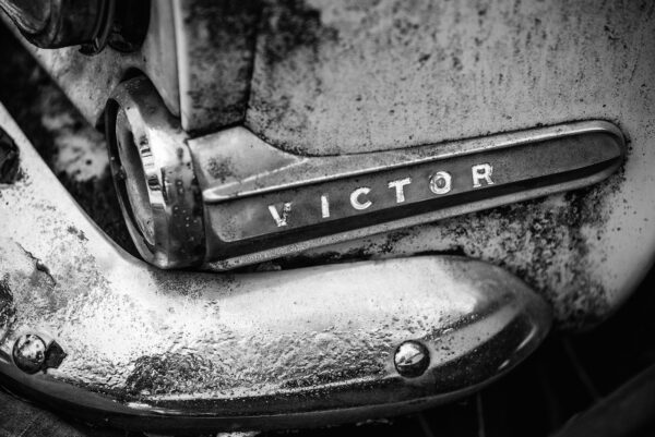 victor - Open or Limited edition fine art print